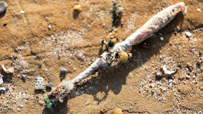 Toothbrush pollution on beach